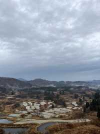 【新潟県･十日町市】絶景棚田スポット！🌾