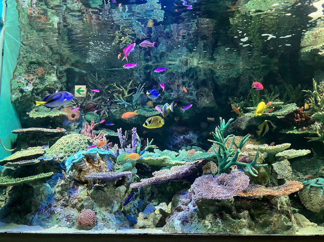 サンシャイン水族館！！