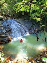 A challenging misson: my maiden hike to the Mount Ophir 🌿 