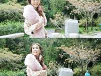 Alishan