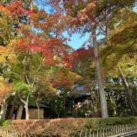秋の世界遺産 中尊寺