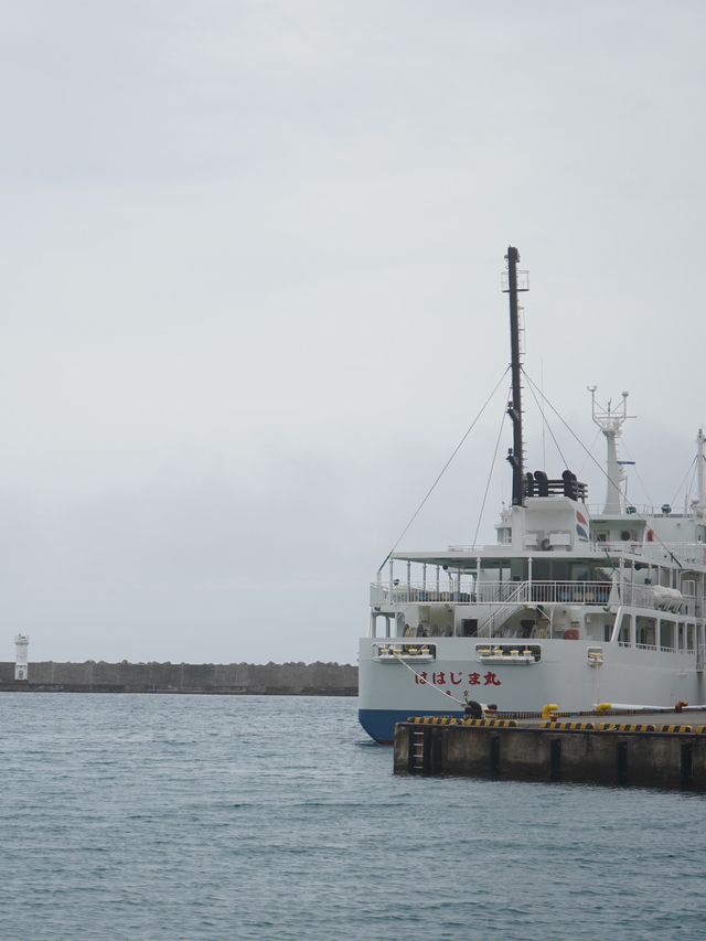 小笠原諸島｜フェリー2時間30分、母島1day trip🚢