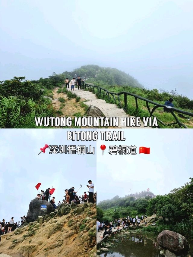 🇨🇳 Wutong Mountain Hike via Bitong Trail