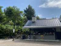 ทับเที่ยงฮิลล์ คาเฟ่สายธรรมชาติ