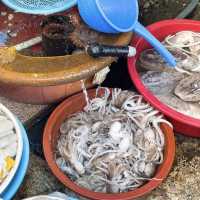 【釜山】新鮮魚介がズラリと並ぶ韓国一の魚介市場🐟