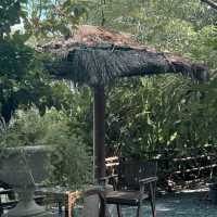 ไปคาเฟ่ยังไงให้ความรู้สึกเหมือนอยู่ในป่า