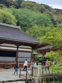 Kiyomizu Dera⛩️🗾