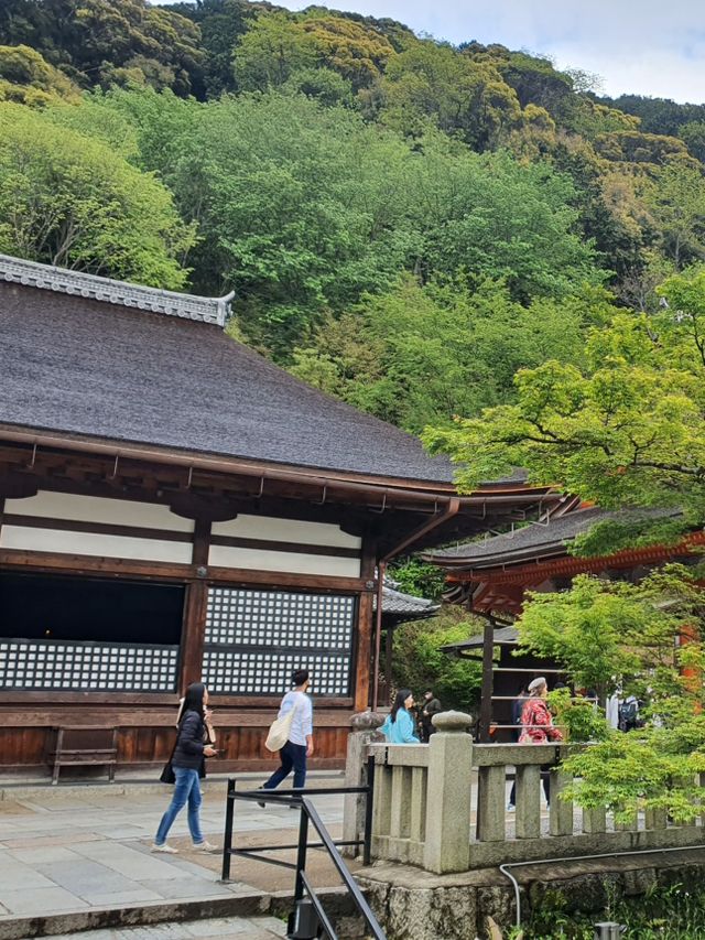 Kiyomizu Dera⛩️🗾