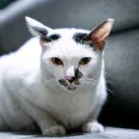 ลากแฟนไป พักสะดวก ชิคๆ Lub D Bangkok Siam