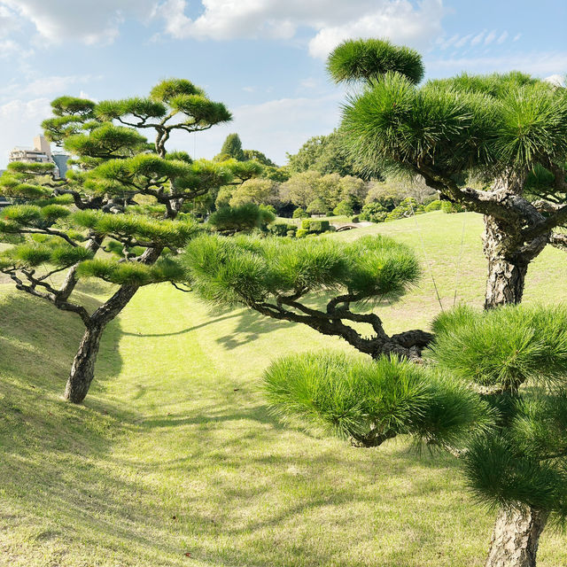 Garden of Wonders: Discovering the Beauty of Suizenji in Kumamoto!