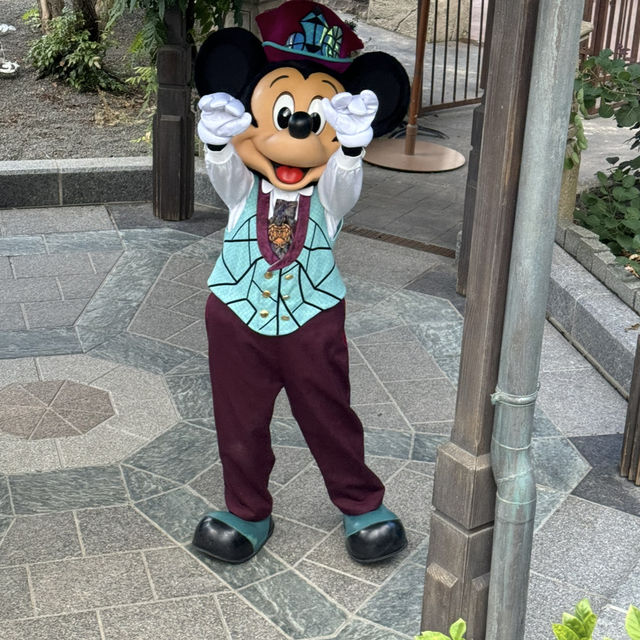 ディズニーランドパリ✨
