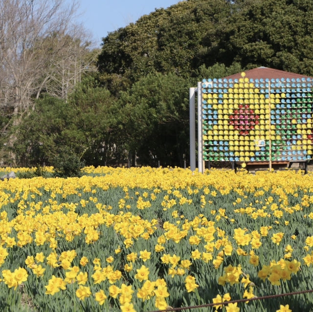 海之中道海濱公園-花卉的「花之丘」