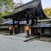 【京都】京都女子旅必見！美麗の神様 下鴨河合神社