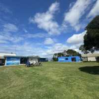 Must try Skydive Melbourne Great Ocean Road