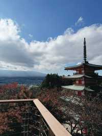 日本🇯🇵 ｜新倉山淺間公園｜眺望富士山風景