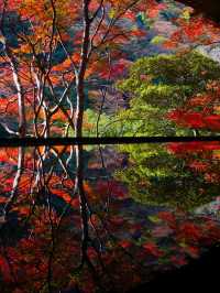 【紅葉特集】紅葉の嵐山リフレクションスポットと嵐山エリア攻略情報を紹介✨