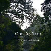 One Day Trip.​ เขาใหญ่