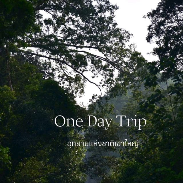 One Day Trip.​ เขาใหญ่