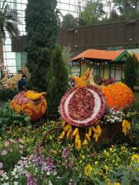 An awesome visit to garden by the bay 💐