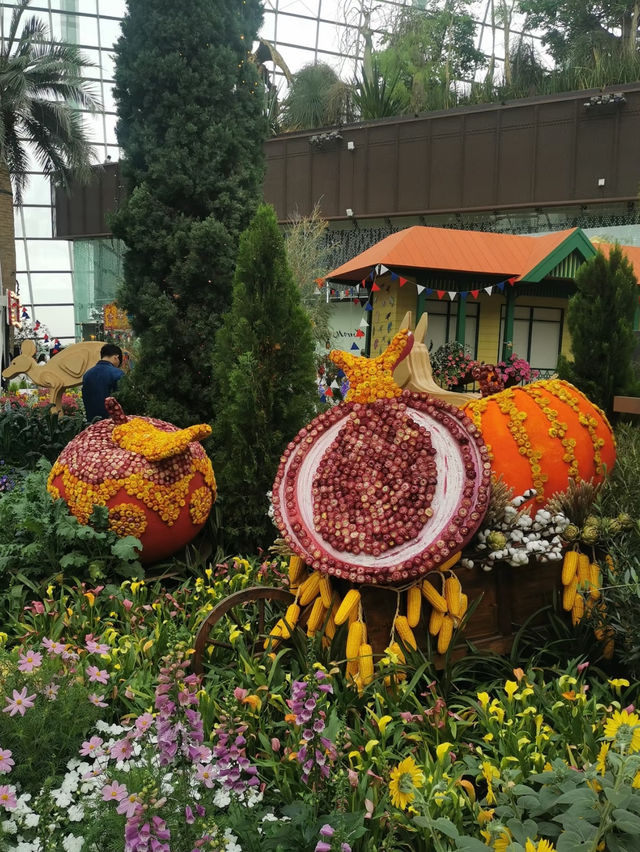 An awesome visit to garden by the bay 💐