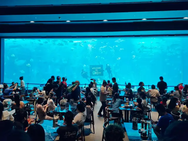 Cebu Ocean Park: An Underwater Wonderland