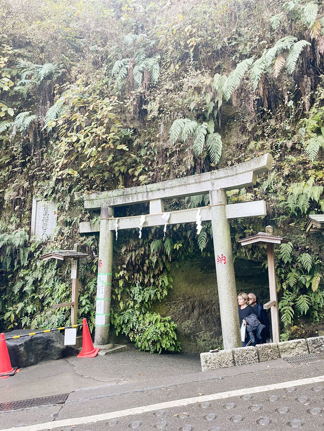 【神奈川県/鎌倉　“境内の湧き水で銭を洗うと富が増える”と言われている『銭洗弁財天 宇賀福神社』】