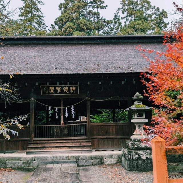 窪八幡神社(大井俣窪八幡神社)