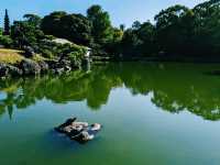 【東京×清澄庭園】亀の日向ぼっこと落ち着く庭園のひととき
