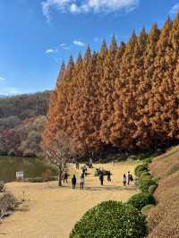 서울 근교 너무 이쁜 단풍 명소🍁