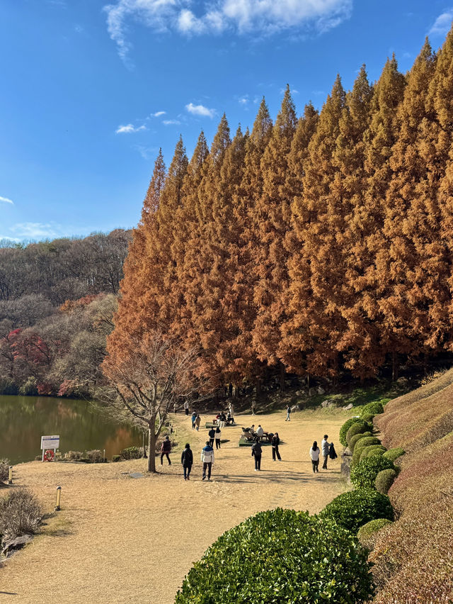 서울 근교 너무 이쁜 단풍 명소🍁