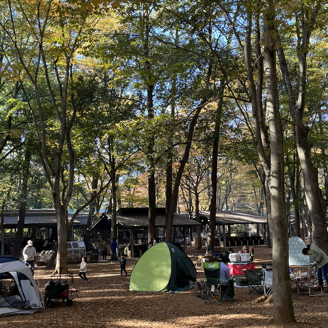 일본 치바 캠프&캠프장 [시미즈 공원 캠프장]🏕️
