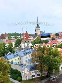 【エストニア】タリン日帰り観光のモデルルート紹介🇪🇪