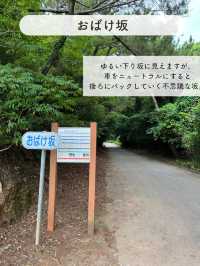 【久米島】おすすめSPOT7選！