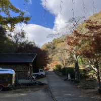 Hoshida Park และ สะพานแขวน Hoshi no Buranko