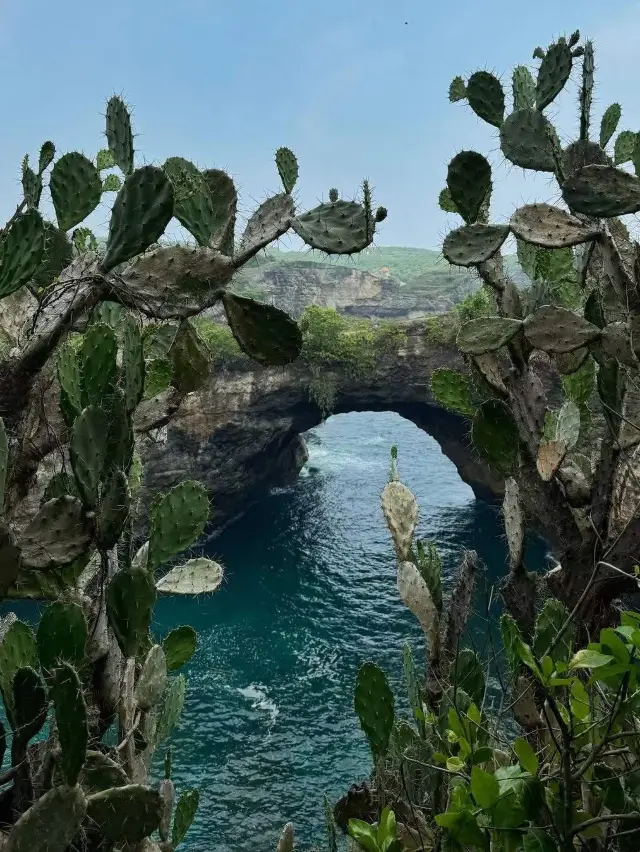 破碎海灘：天堂的完美拱門