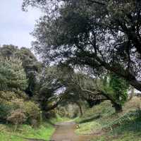 Boscombe Chine Gardens