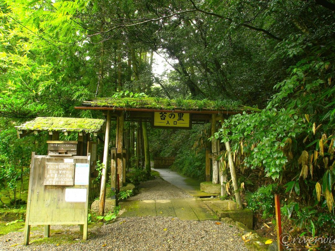 石川県】日本有数の苔の絶景！「日用苔の里」 | Trip.com 小松