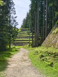 【岐阜　お城巡り】