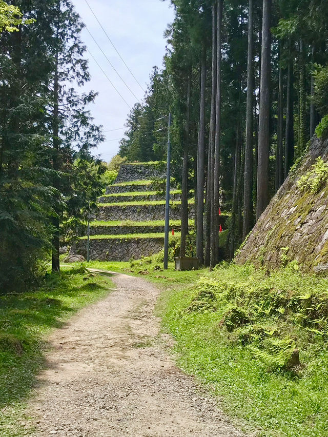 【岐阜　お城巡り】