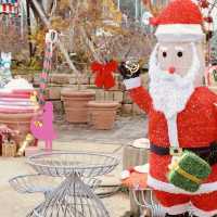 Cozy Botanical Garden with Festive Spirit