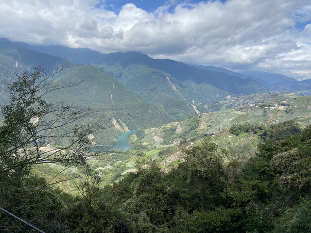 臺中｜黃綠交織的油菜花田