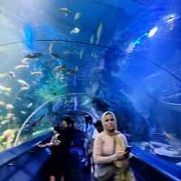 Dive Into Fun at Aquaria KLCC: A Must-Visit for Families Visiting Kuala Lumpur 🐠