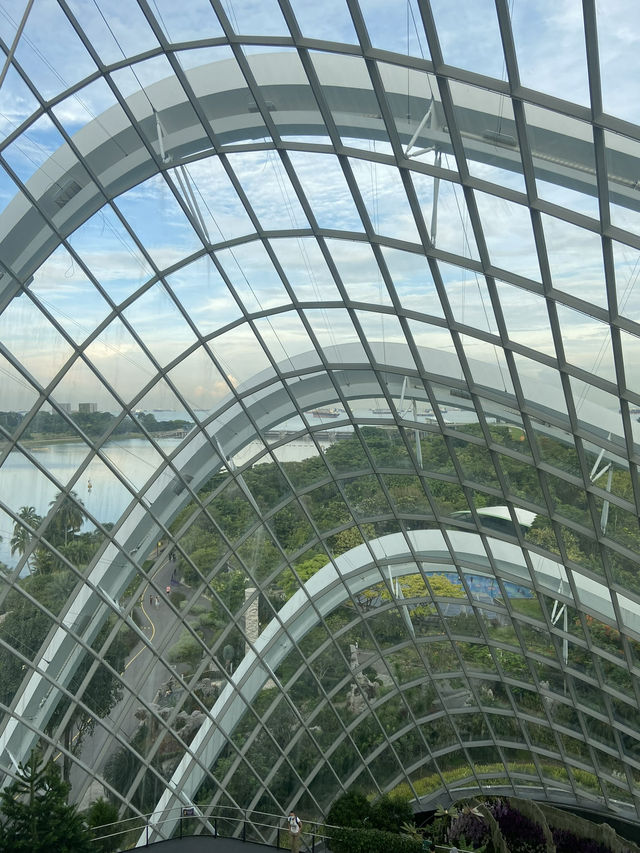โดมยักษ์ Cloud Forest 🍃