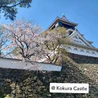 Solo Trip ไปเองไม่ง้อทัวร์ : 4 Days @ Kyushu