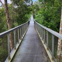 A Family Walk at The Habitat Penang Hill