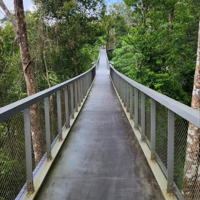 การเดินเล่นของครอบครัวที่ The Habitat Penang Hill