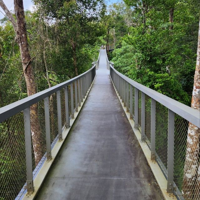 A Family Walk at The Habitat Penang Hill