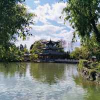 Whispers of Water: My Journey Through Black Dragon Lake