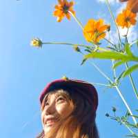คาเฟ่โฮมมี่ สไตล์คอทเทจ🌻🌼