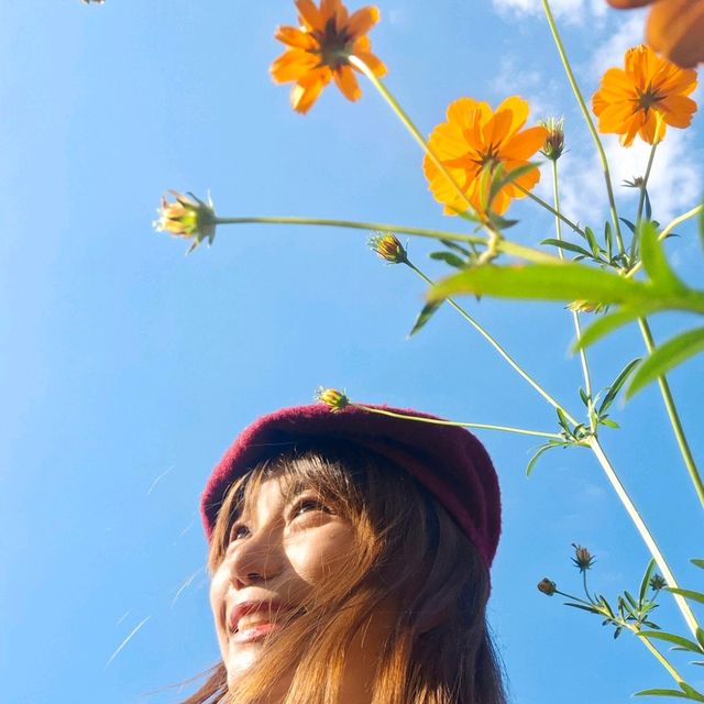 คาเฟ่โฮมมี่ สไตล์คอทเทจ🌻🌼